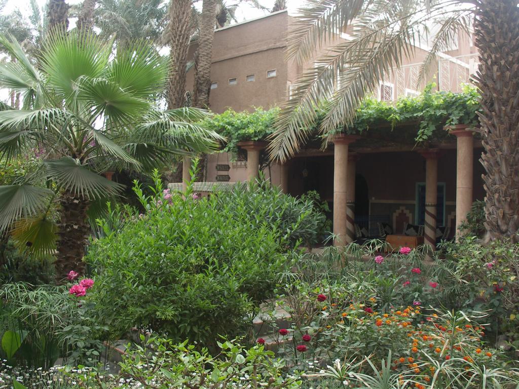 Fibule Du Draa Kasbah D'Hotes Загора Екстер'єр фото