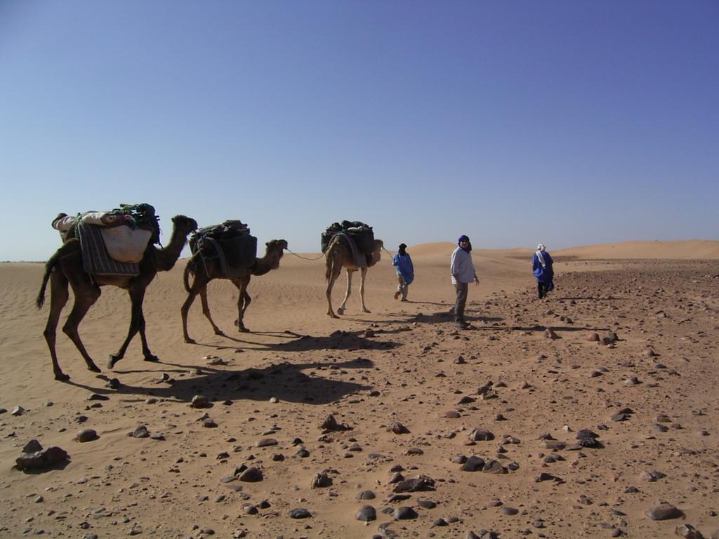 Fibule Du Draa Kasbah D'Hotes Загора Екстер'єр фото