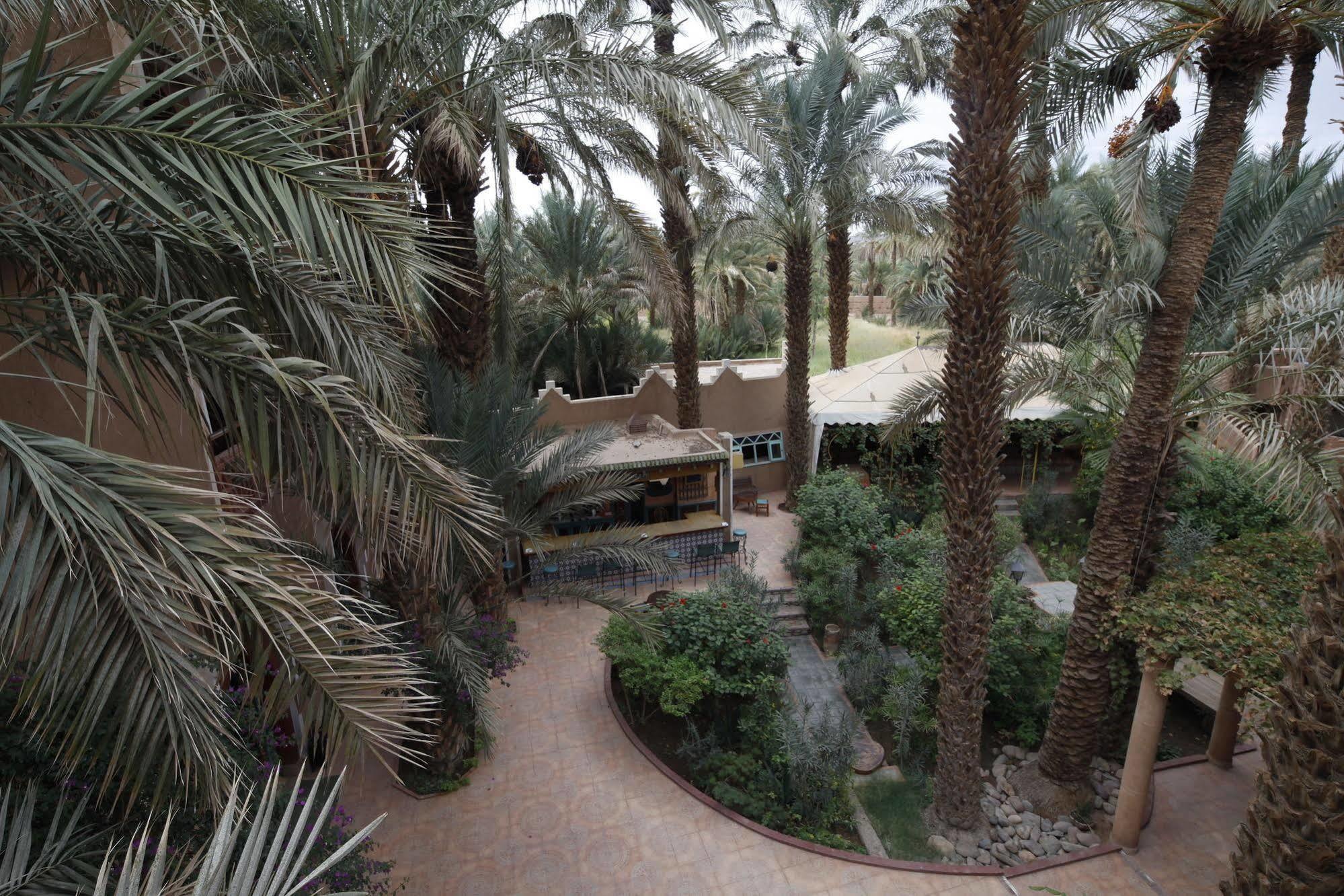 Fibule Du Draa Kasbah D'Hotes Загора Екстер'єр фото