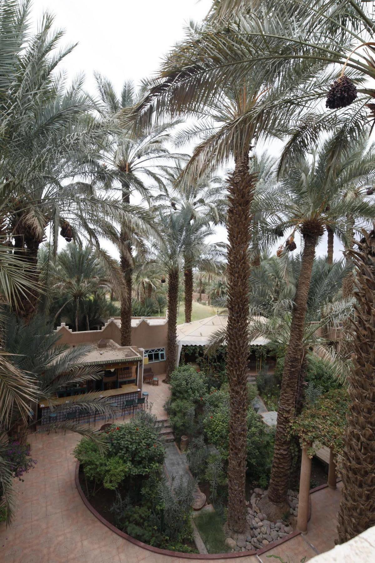 Fibule Du Draa Kasbah D'Hotes Загора Екстер'єр фото